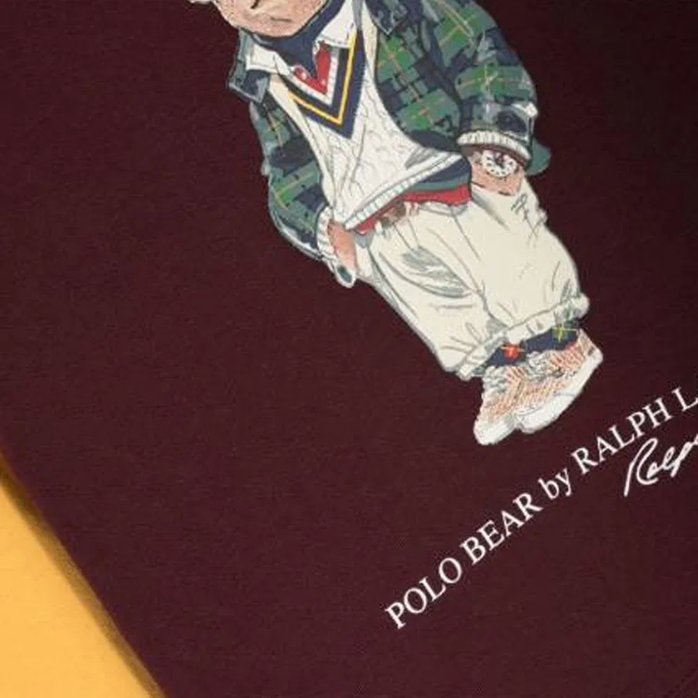 Детское худи с капюшоном из футера Polo Ralph Lauren, Multicolor — фото 4
