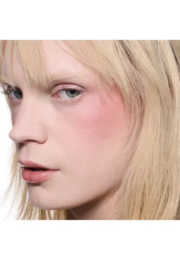 Румяна пудровые 4.5 г Skinfinish Colourstruck Blush Mac raizin the roof, цвет raizin the roof — фото 2