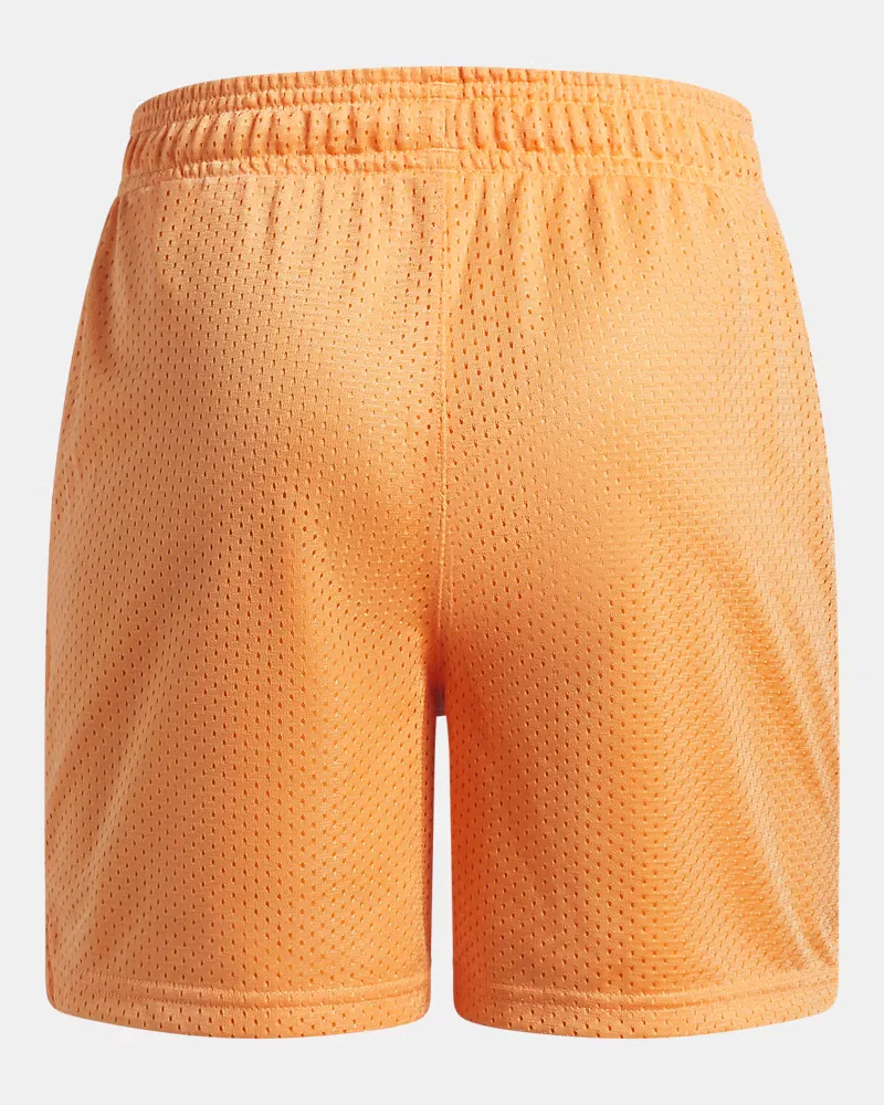 Детские шорты длиной 12 см с дышащей сеткой UA Icon Mesh UnderArmour, Orange Bloc/White — фото 2