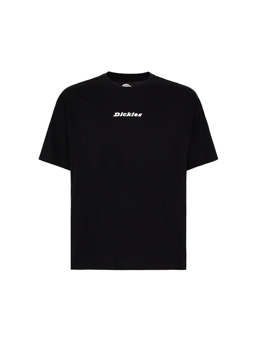 

Футболка DICKIES Shirt ENTERPRISE, черный