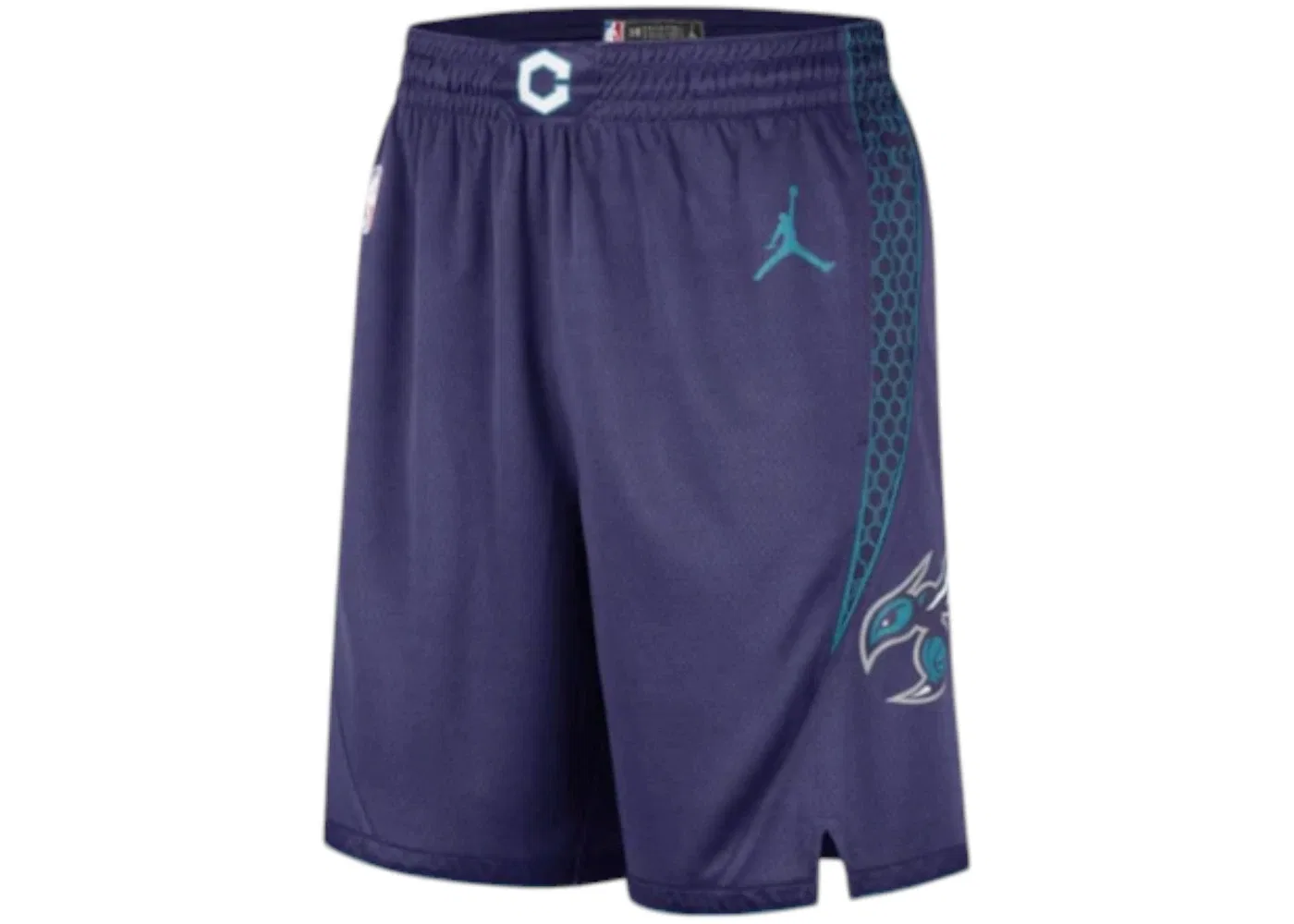Мужские шорты с принтом Jordan Charlotte Hornets Statement Edition, Purple/White/Teal
