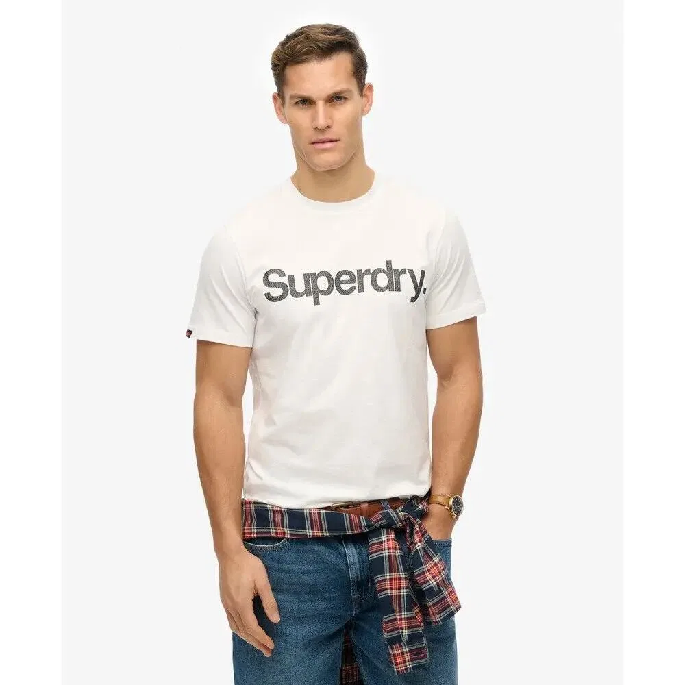 Мужская футболка с принтом Core Logo Superdry, Weiß — фото 2