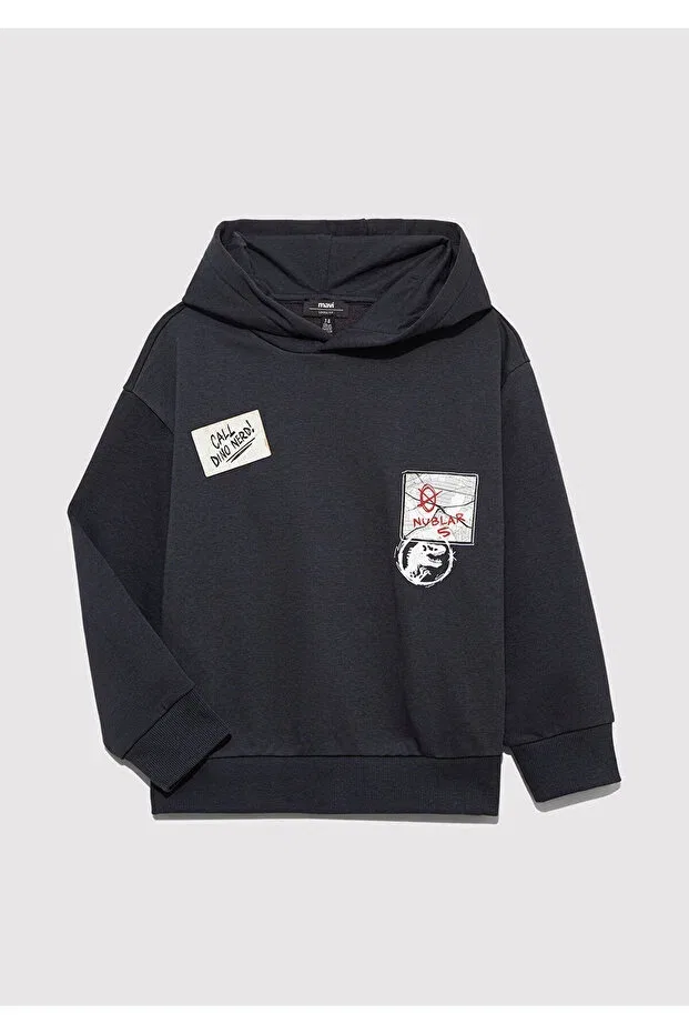 Детское худи для мальчиков с принтом Jurassic park printed anthracite sweatshirt 6s10135-70087 Mavi, Anthracite-70087 — фото 3