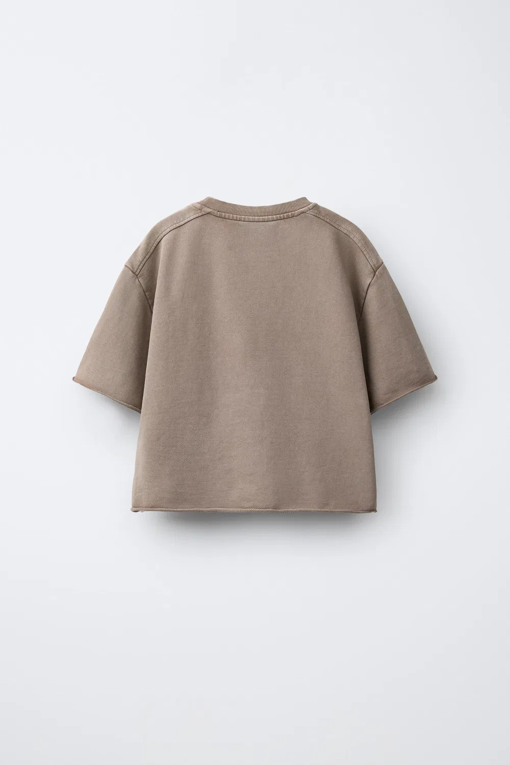 Спортивная футболка с эффектом выцветания ZARA, Russet — фото 2