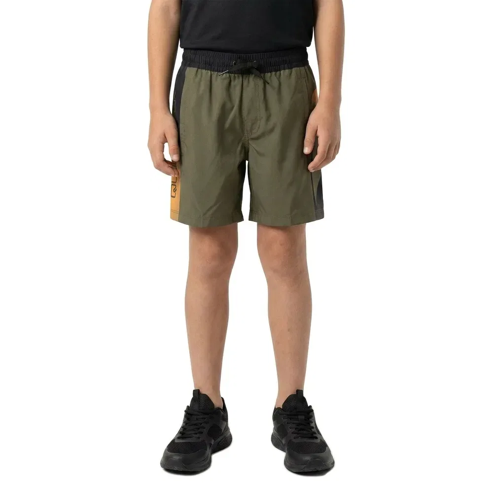 Плавки Everyday Holmes Volley 16'' Quiksilver, зеленый — фото 3