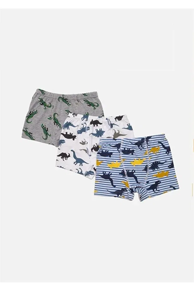 Детские боксеры для мальчиков с принтом Dinosaur patterned Çamaşırcımshop, Mixed Color Package