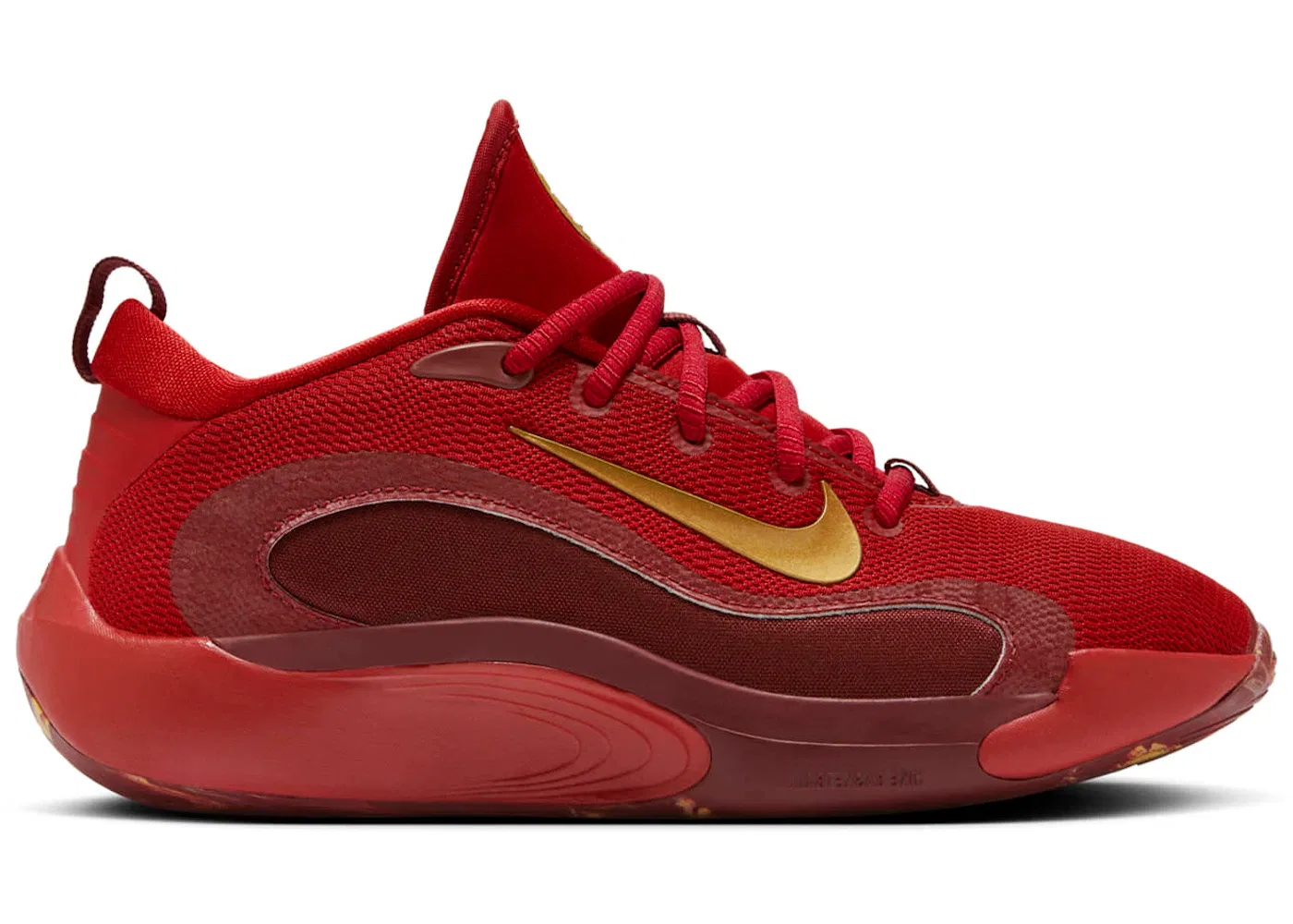 Детские кроссовки для мальчиков с сетчатым верхом Nike IsoFly Nike, Gym Red Team Red Dark Team Red Metallic Gold