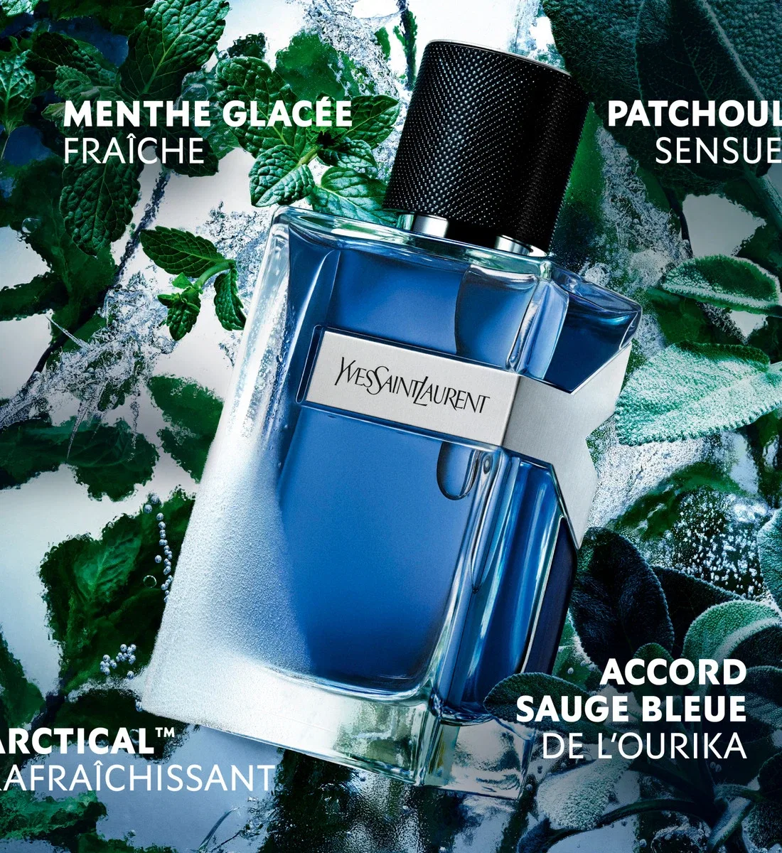 Yves Saint Laurent Туалетная вода Интенс фужерно-ароматическая — фото 4