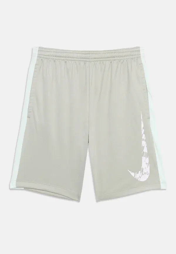 Шорты спортивные Dri-fit Trophy Nike Performance, spruce fog/barely green/White, белый — фото 3