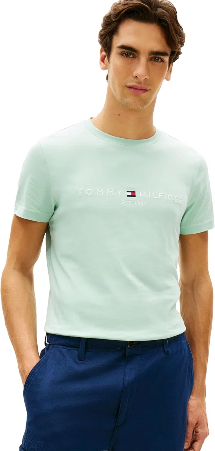 Мужская футболка с вышитым логотипом Tommy Hilfiger, Crushed Mint
