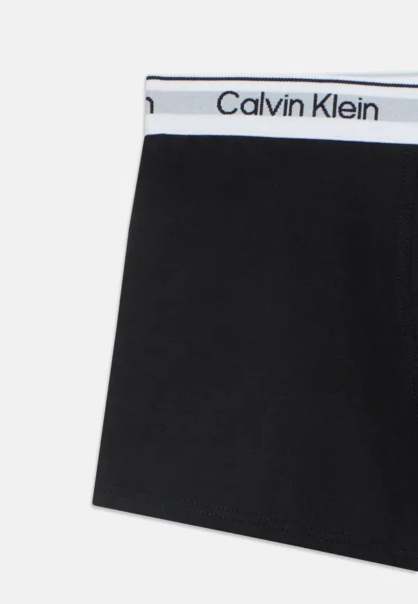 Комплект боксеров 2 шт Calvin Klein Underwear, черный — фото 4