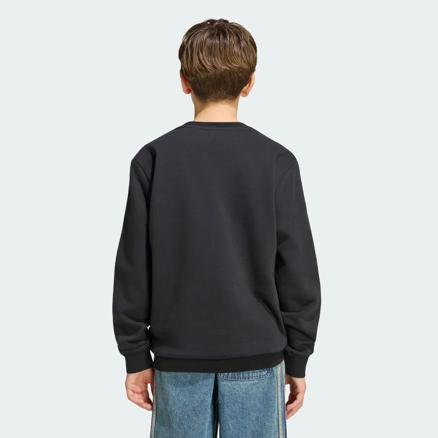 Толстовка ADIDAS ORIGINALS черного цвета — фото 3