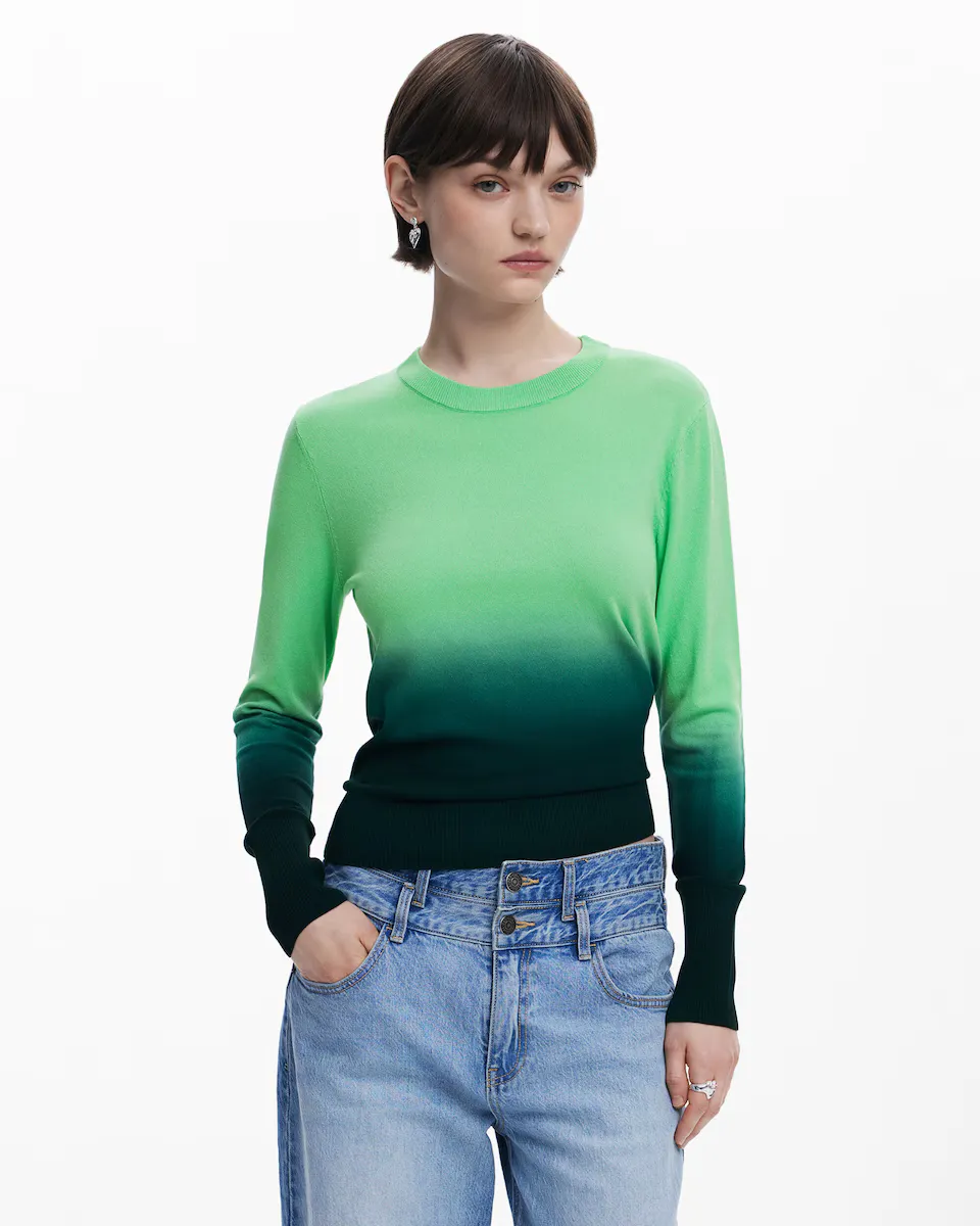 

Женский свитер с мелким градиентом Desigual, зеленый