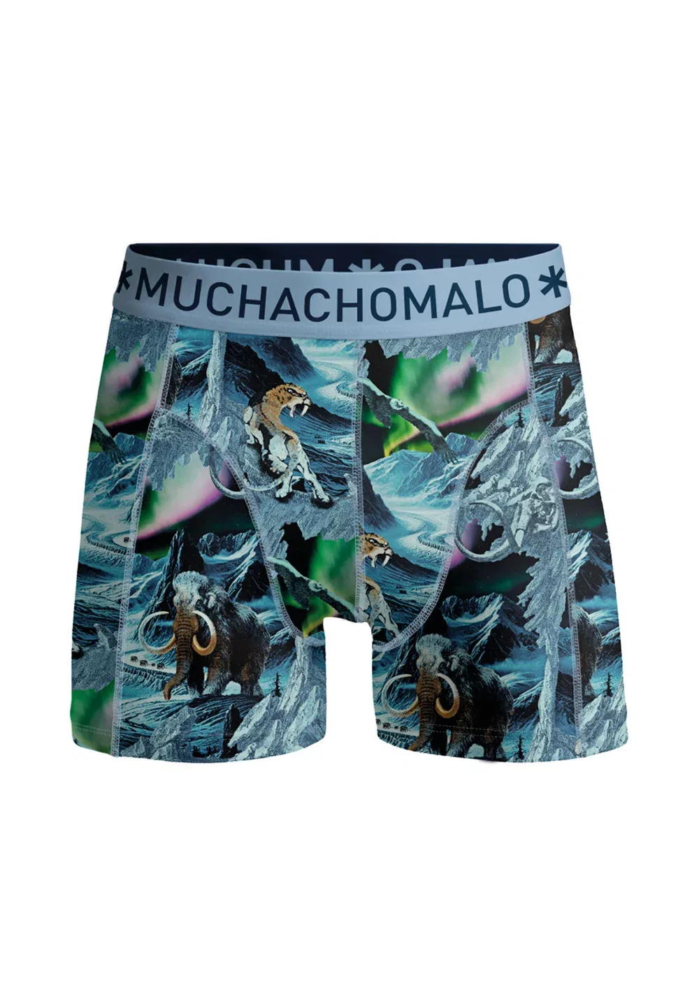 Комплект из 3 боксерских трусов Muchachomalo, Print Print Blue — фото 3