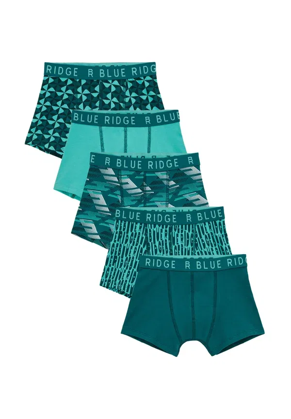 Боди с принтом Blue ridge, We Fashion, Pastel Green, зеленый