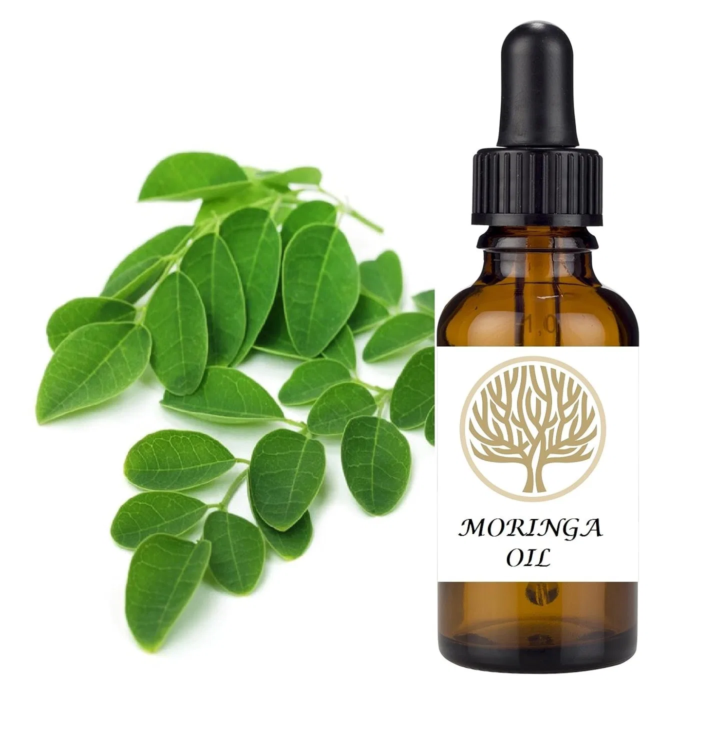 Масло для лица и тела Moringa, EkoFace, 30 мл, Coconut