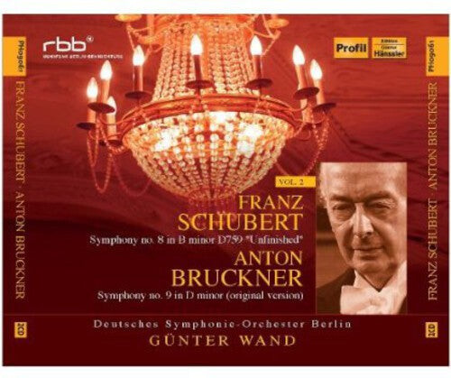 

CD диск Schubert / Deutsches Symphonie Orchester Berlin: Schubert Bruckner 2: Symphony No 8 & Symphony No 9