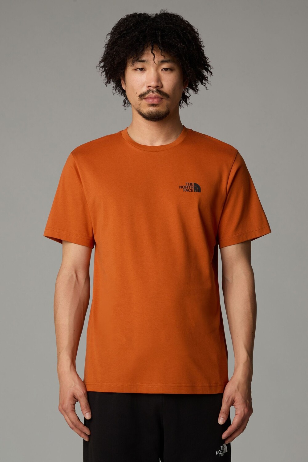 

Мужская футболка с коротким рукавом и простым куполом The North Face, коричневый