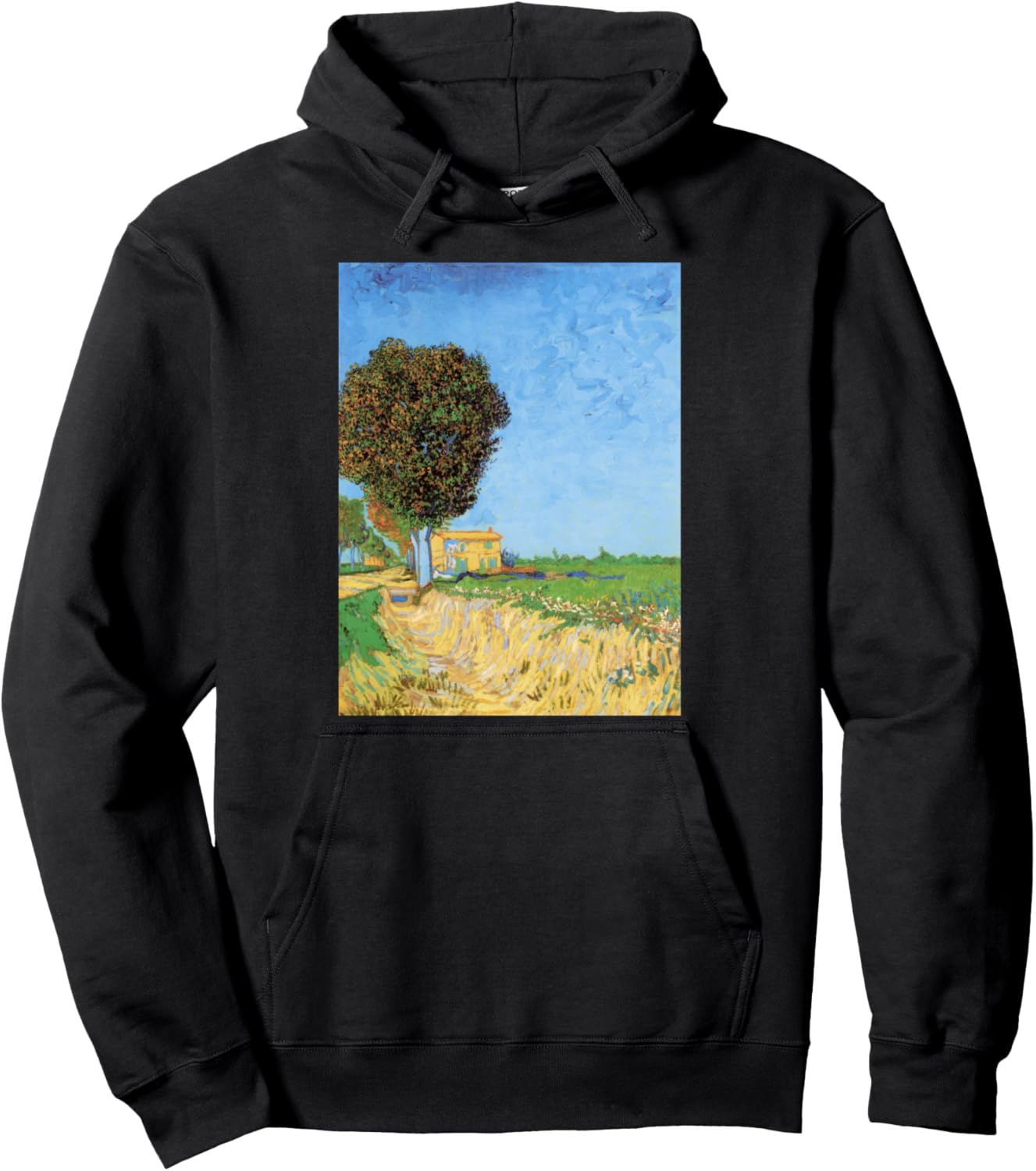 

Худи с изображением картины Винсента ван Гога «Переулок в Арле» Vincent Van Gogh'S A Lane In Arles, черный