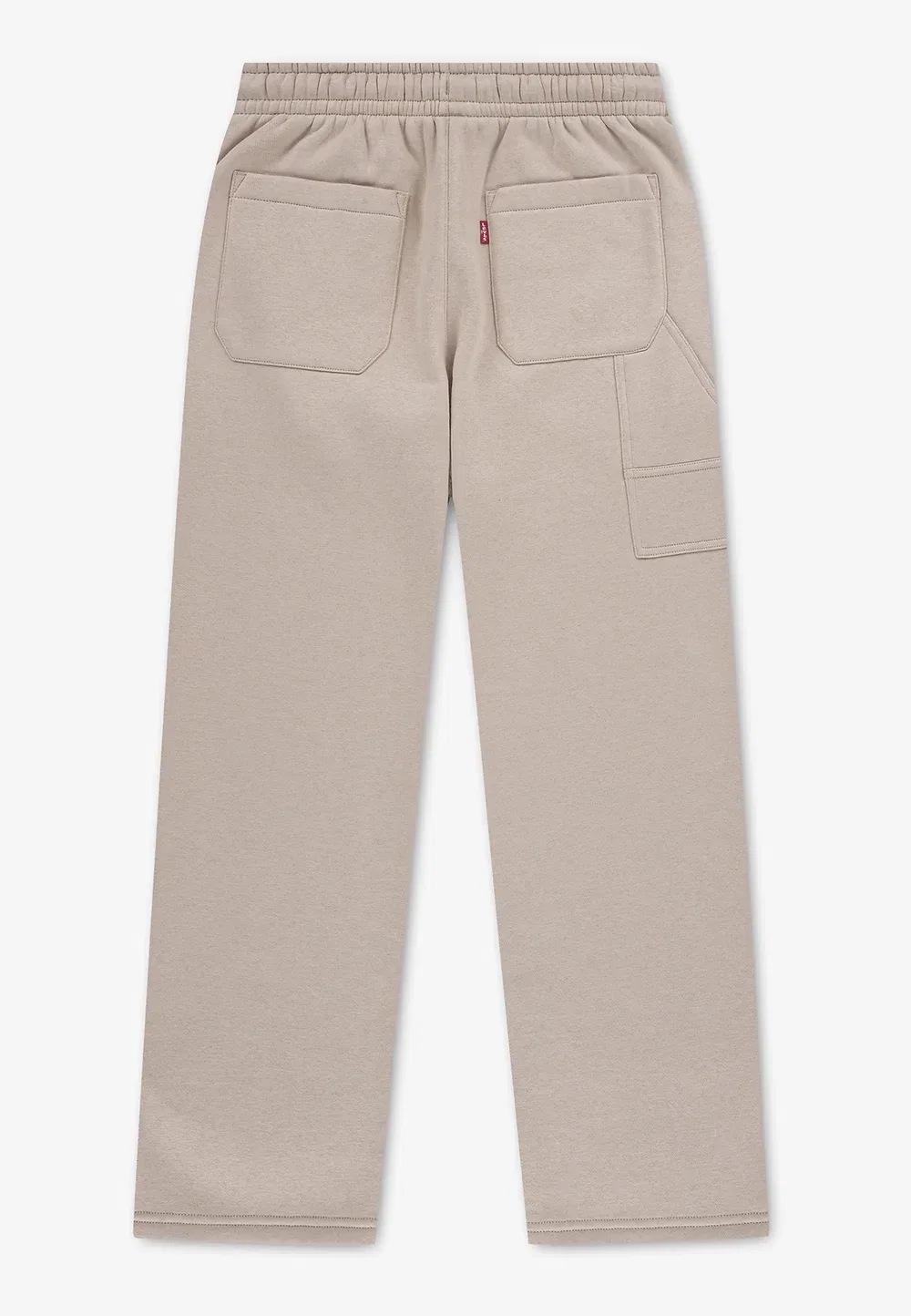 Свободные рабочие штаны - спортивные штаны Levi'S, Fields Of Rye — фото 2