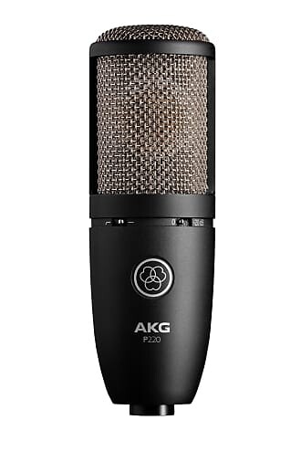 

Конденсаторный микрофон AKG P220 Large Diaphragm Cardioid Condenser Microphone