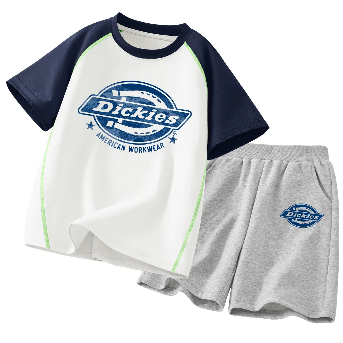 Детский спортивный комплект с принтом Dickies, Steel Painting Logo White+Steel L Negative Logo K Gray