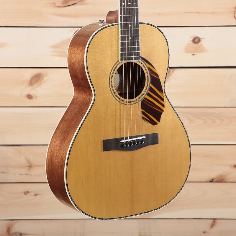 

Fender PS-220E — Экспресс-доставка — (F-493) Серийный номер: CC220409343