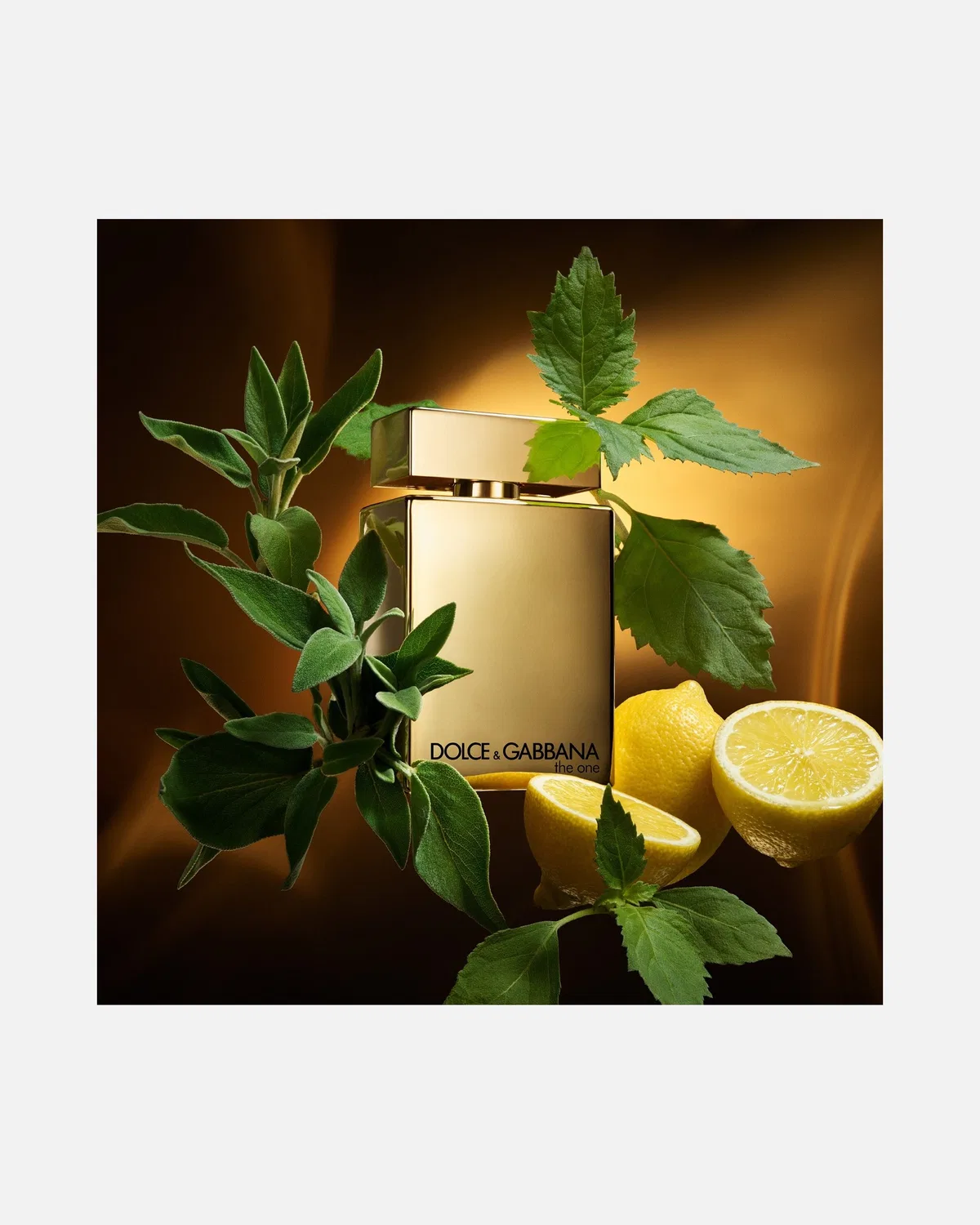 Парфюмерная вода The One для мужчин, золотистый интенсивный Dolce&Gabbana, 100 Ml — фото 3