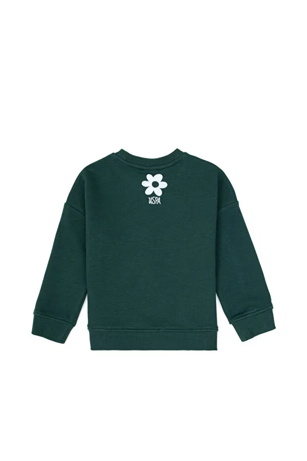 Детское худи для девочек с длинным рукавом U.S. Polo Assn., Dark Green — фото 4
