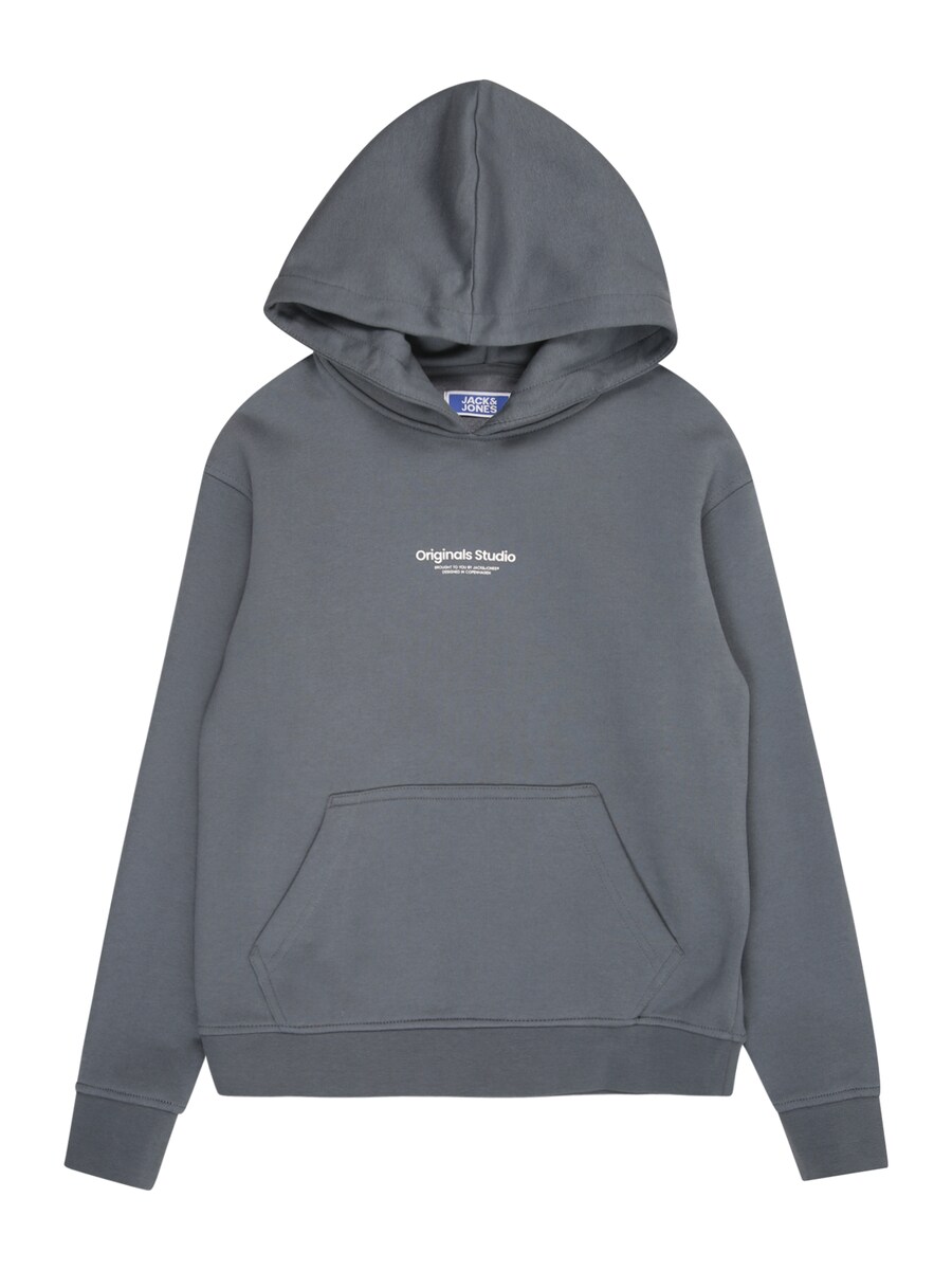 

Толстовка Jack & Jones Junior JORVesterbro, цвет Basalt grey