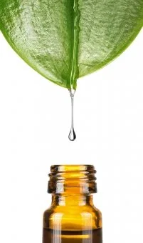 Консервант Geogard 221, 50 мл от Dragonspice Naturwaren Dragonspice Naturwaren