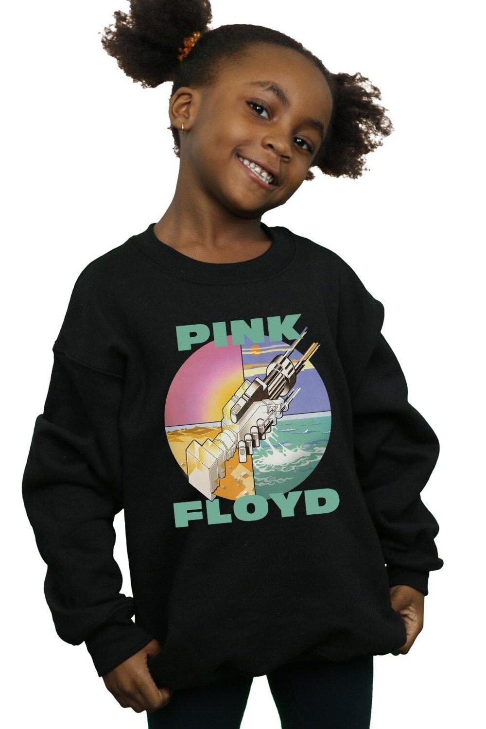 

Толстовка Wish You Were Here Pink Floyd, черный