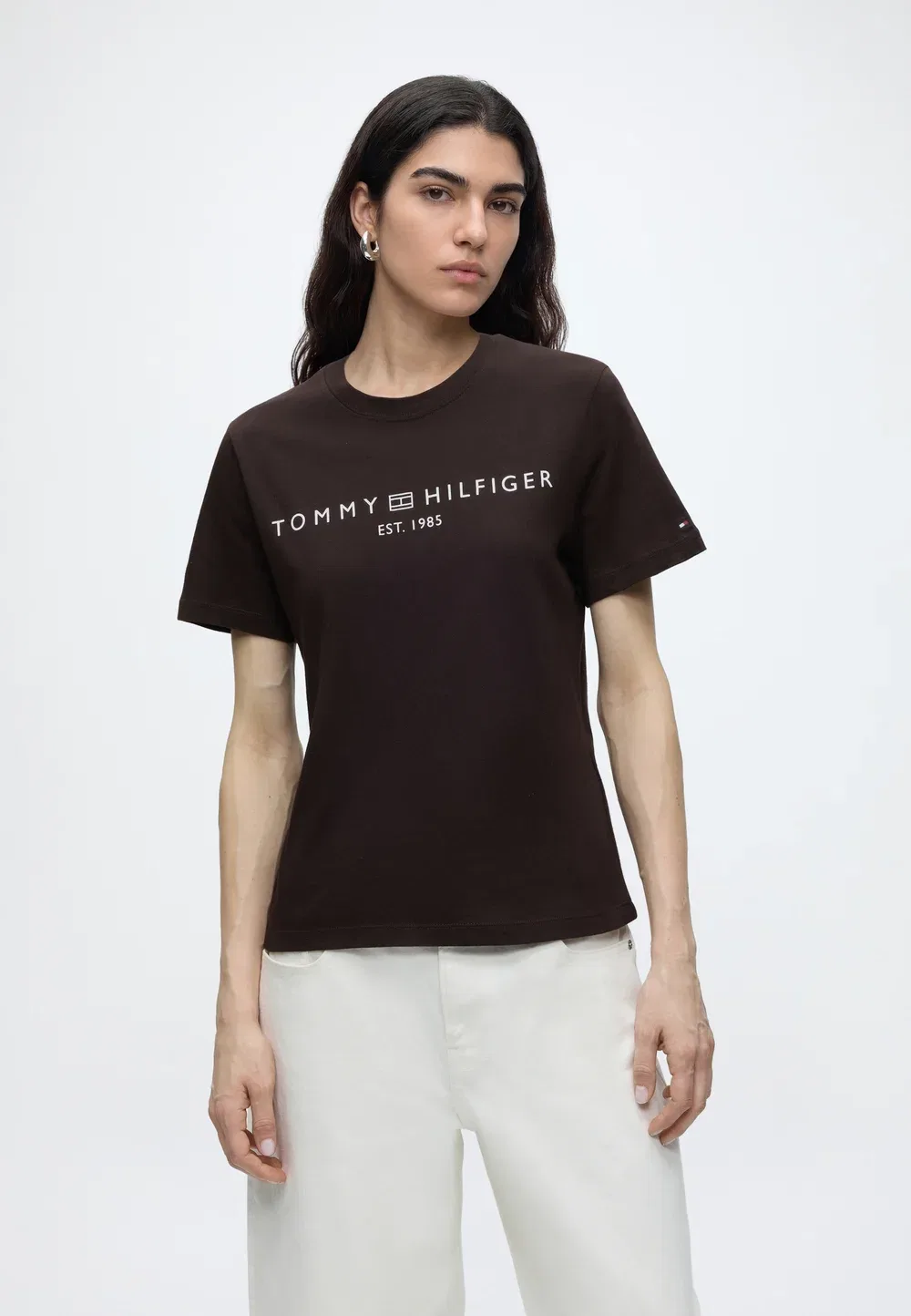 Логотип Reg Corp - футболка с принтом Tommy Hilfiger, Chocolate