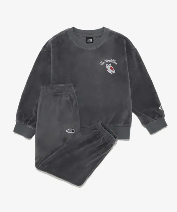 Детский спортивный костюм Animate The North Face Kids, светло-серый