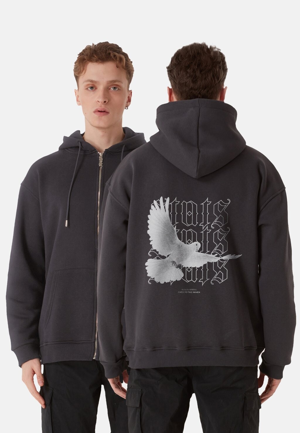 

Толстовка на молнии PIGEON HOODIE stats, серый