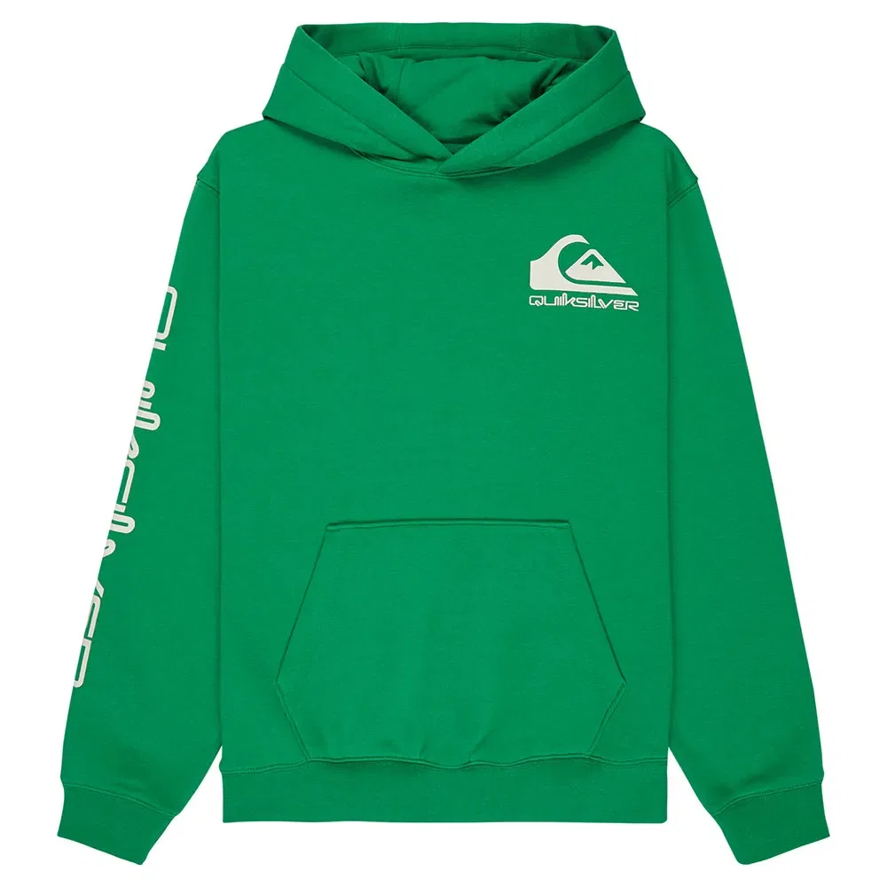 Худи Omni Logo Quiksilver, зеленый