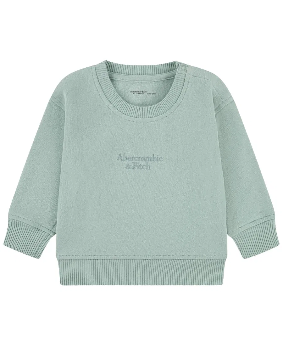 Свитшот детский с длинным рукавом, поло abercrombie kids, Silt Green