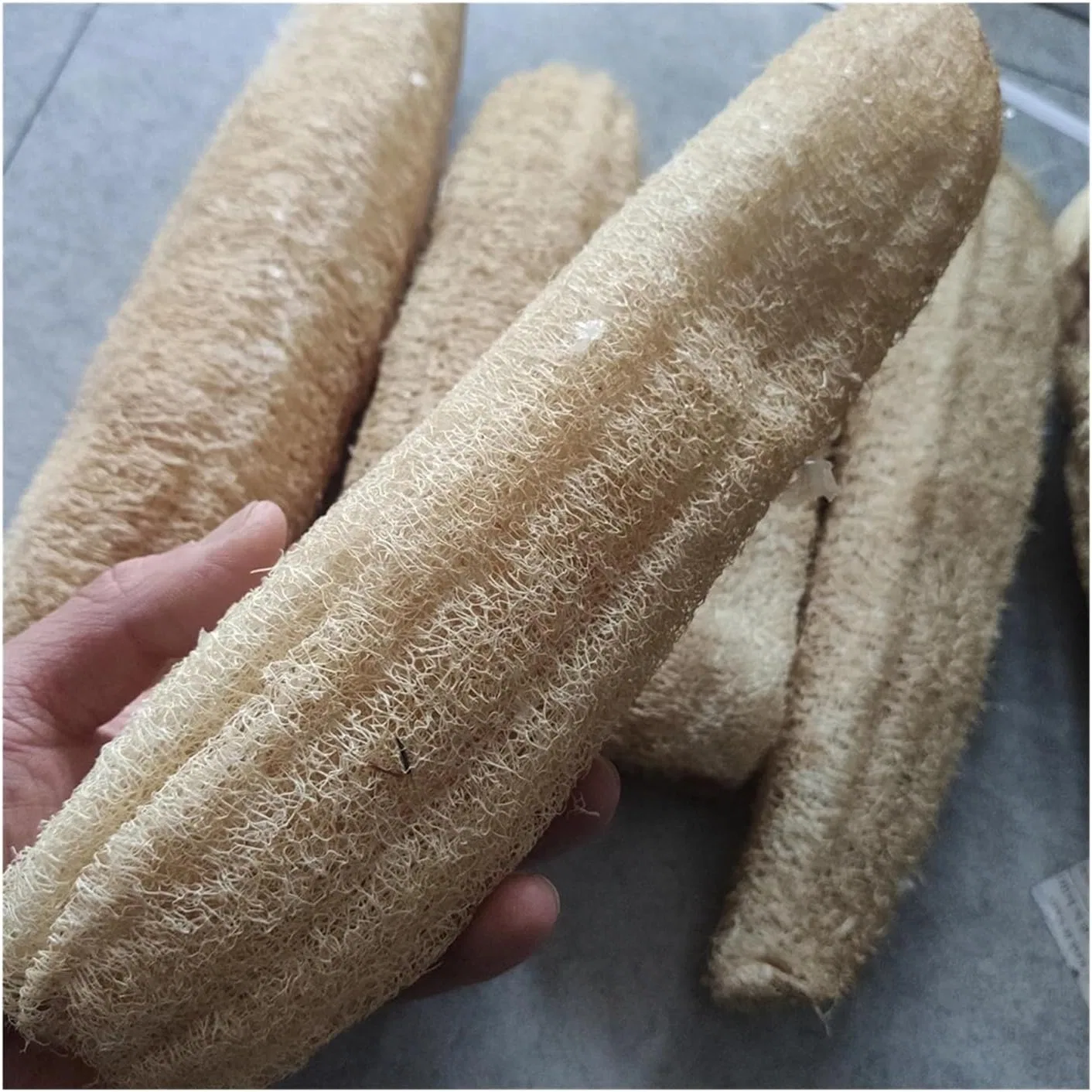 Мочалка из натуральной люфы CLENEA, набор 8 шт, 10-15 см, 8 Pieces — фото 4