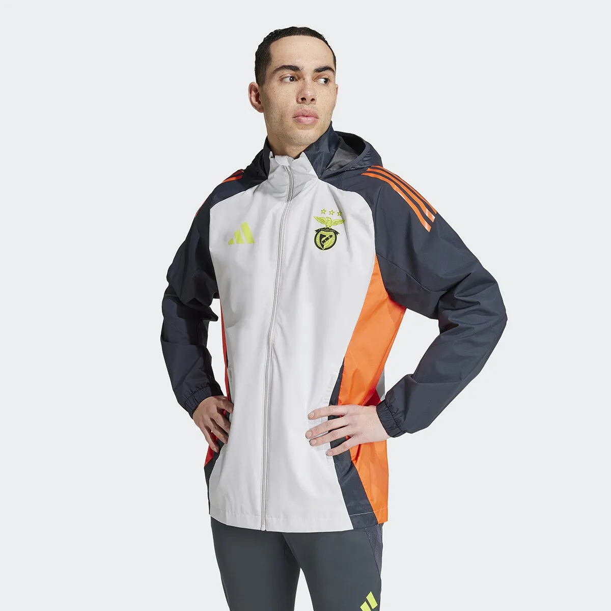 

SL Benfica 2024/2025 Tiro24 Всепогодная куртка Мужская куртка Adidas, серый