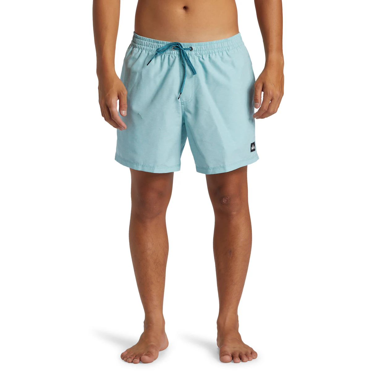 

Мужские повседневные шорты для плавания Quiksilver Deluxe Volley 15", синий