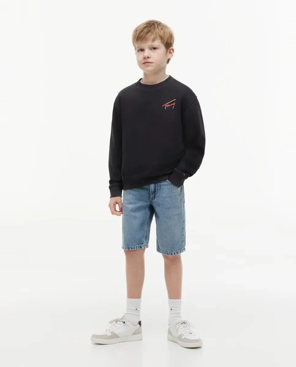 Детская толстовка для мальчиков с принтом Tommy Hilfiger, Grey — фото 4