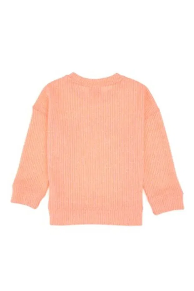 Детские свитшот для девочек с принтом U.S. Polo Assn., Pink — фото 2