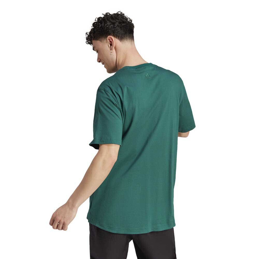 Футболка adidas All Szn Graphic, зеленый — фото 2
