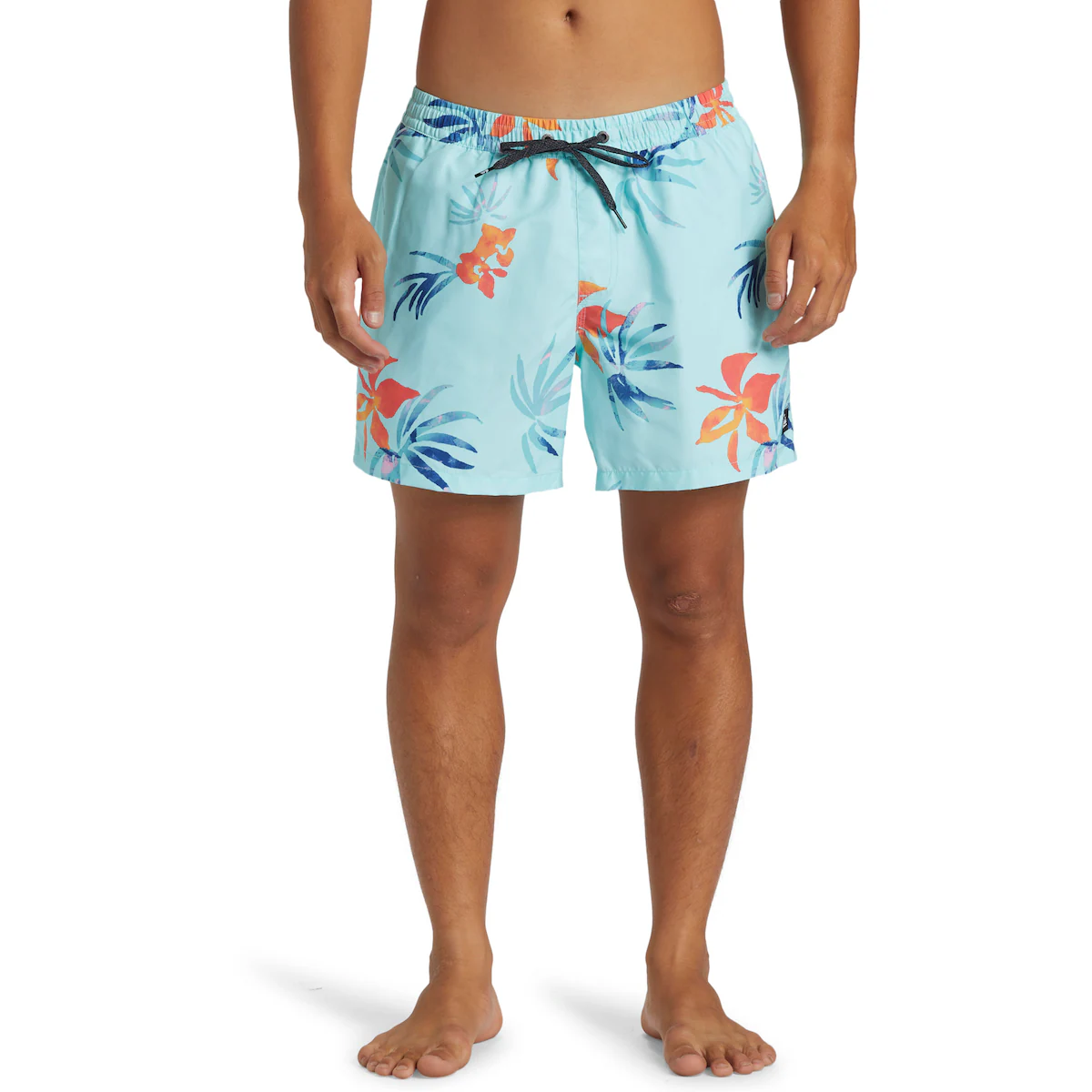 

Мужские плавки Quiksilver Everyday Mix Volley 15", синий