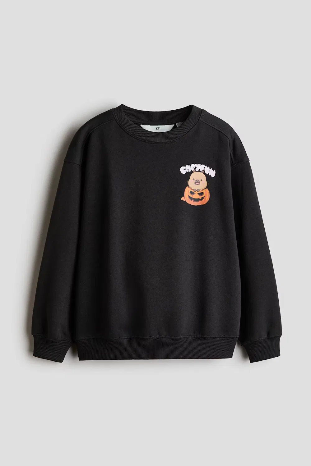 Толстовка из флиса с начесом и принтом H&M, Anthrazit/Capyfun