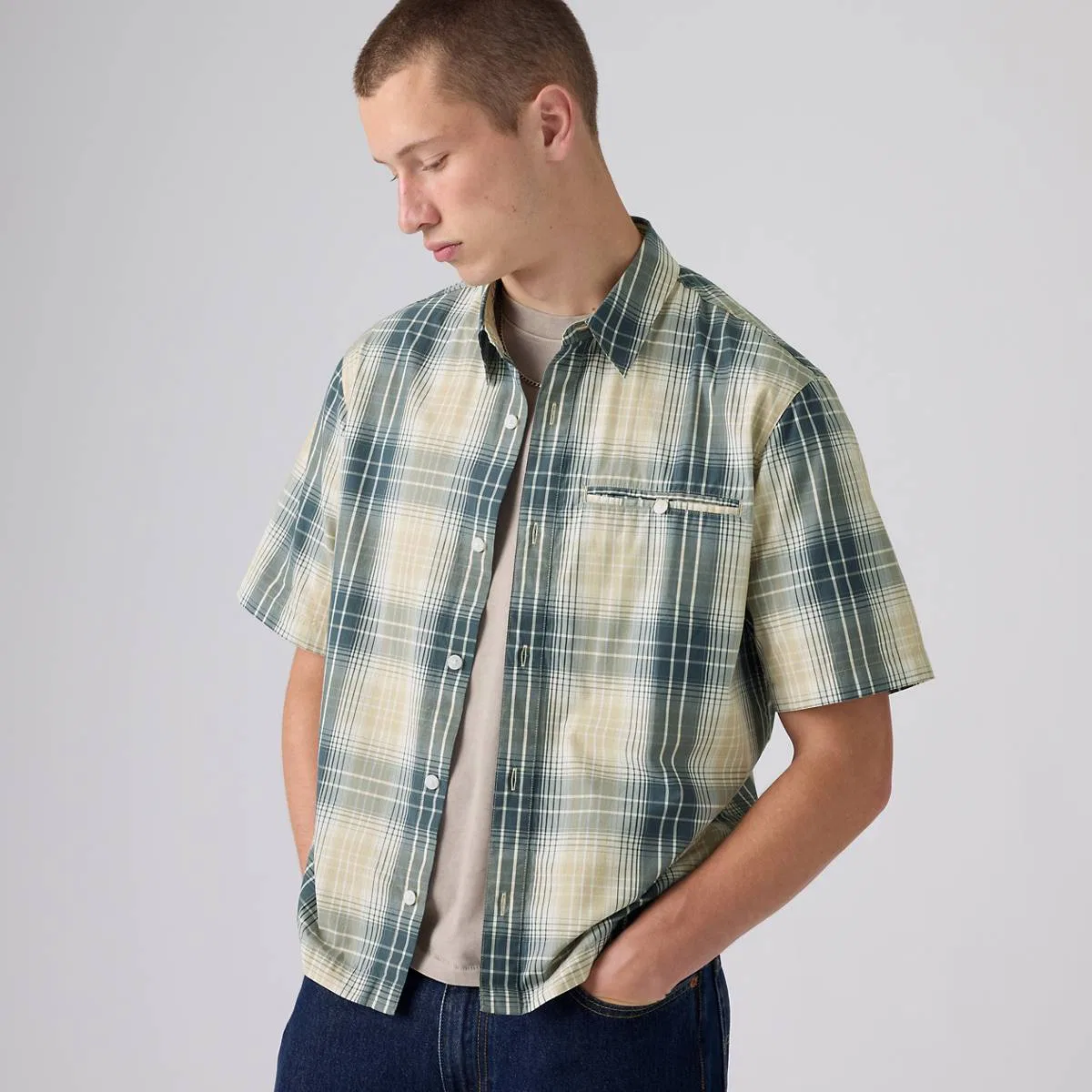 Рубашка свободного кроя с коротким рукавом Zandt Levi's, Julio Plaid Fields Of Rye - Green