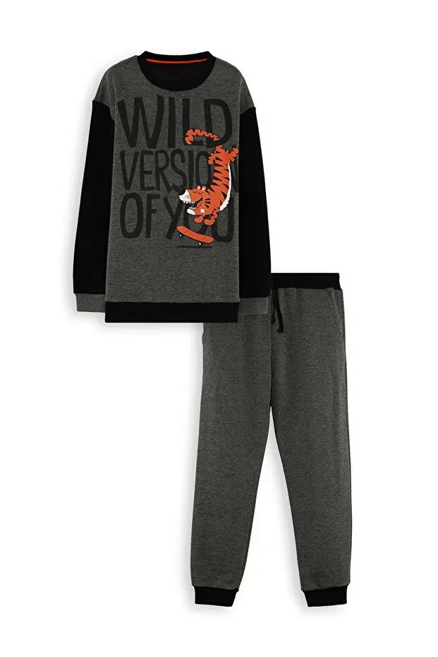 Детский спортивный костюм для мальчиков с принтом Wild Oversize Boy Denokids, Gri — фото 4