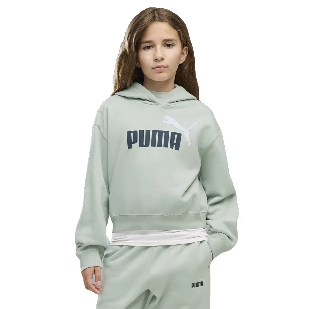 Худи Puma Essential 2 Color Nº1 Logo Short Length, зеленый