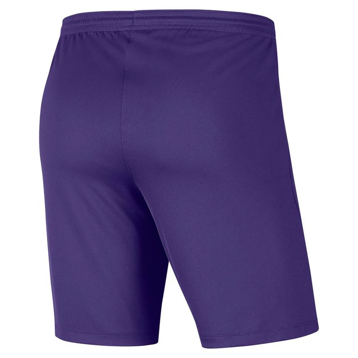 Мужские шорты с технологией Dri-FIT Park III Nike, Royal Purple White — фото 2
