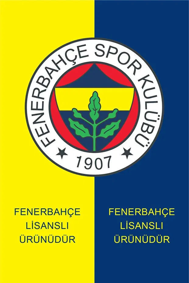 Детская для мальчиков толстовка с принтом Fenerbahçe, Navy Blue — фото 4